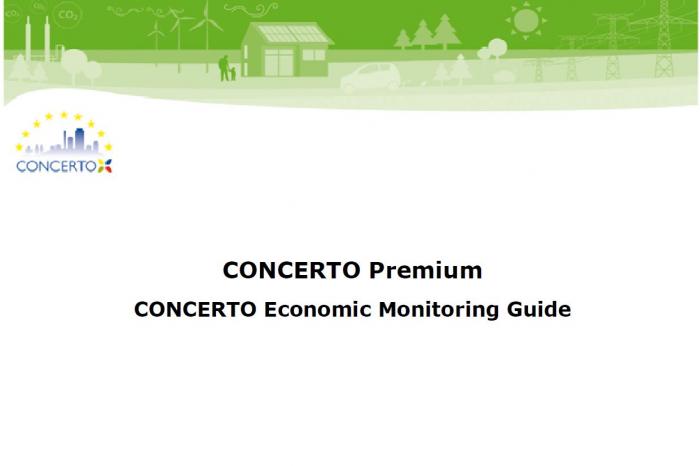 concerto economic monitoring guide
