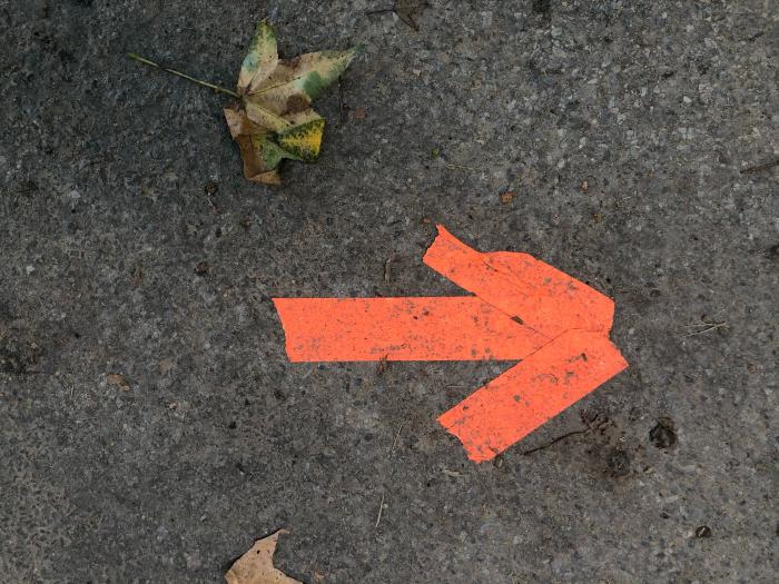 citizen focus - red arrow