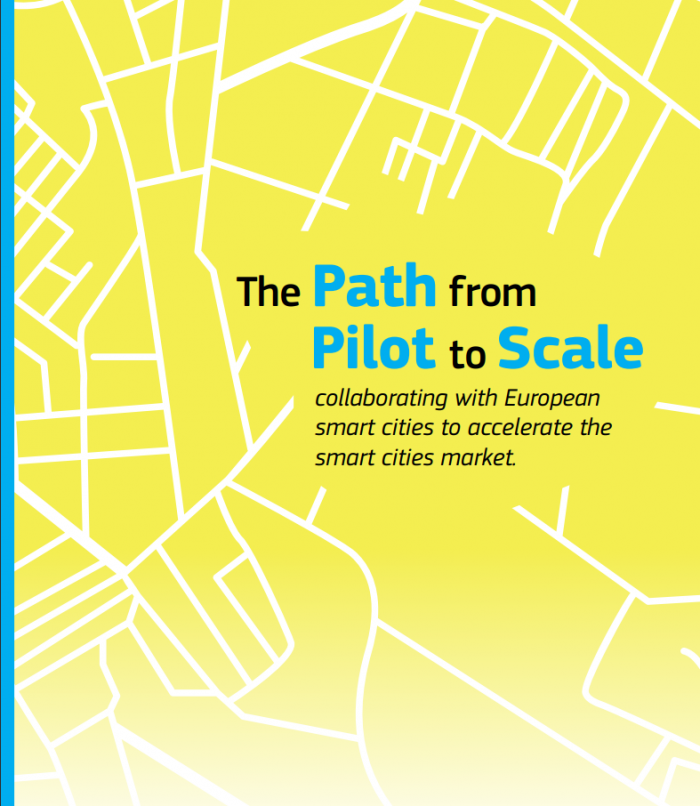 The Path from Pilot to Scale