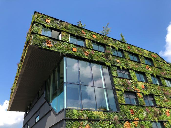 green building with plants