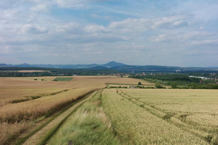 Litoměřice