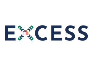 Excess logo